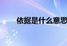 依據(jù)是什么意思（依據(jù)是什么意思）