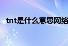 tnt是什么意思網(wǎng)絡(luò)用語(yǔ)（tnt是什么意思）