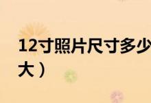 12寸照片尺寸多少合適（12寸照片尺寸有多大）