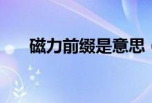 磁力前綴是意思（磁力的前綴是什么）