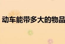 動(dòng)車能帶多大的物品（動(dòng)車能帶多大行李箱）