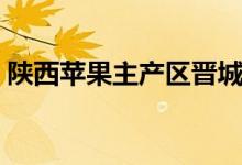 陜西蘋(píng)果主產(chǎn)區(qū)晉城(陜西蘋(píng)果主產(chǎn)地是哪)