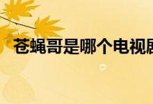 蒼蠅哥是哪個電視?。ㄉn蠅哥是哪部電影）