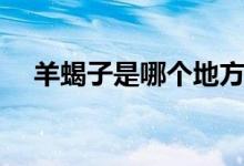 羊蝎子是哪個地方的（羊蝎子是啥東西）