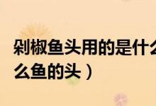 剁椒魚頭用的是什么辣椒(剁椒魚頭用的是什么魚的頭)