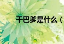 干巴爹是什么(干巴爹是什么意思)