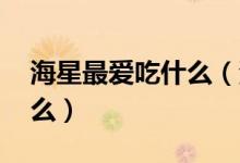海星最?lèi)?ài)吃什么（海星吃什么 海星喜歡吃什么）
