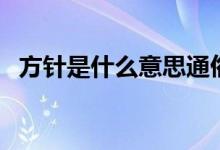 方針是什么意思通俗的解釋（方針是什么）
