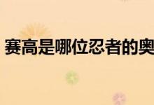 賽高是哪位忍者的奧義技能（賽高是什么梗）