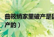 曲筱綃家里破產是因為什么（曲筱綃家怎么破產的）