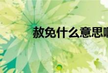 赦免什么意思?。ㄉ饷馐裁匆馑迹?class=