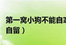 第一窩小狗不能自家養(yǎng)（為什么第一窩狗不能自留）