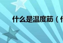 什么是溫度筋（什么是溫度筋和負(fù)筋）