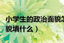小學生的政治面貌怎么寫啊(小學生的政治面貌填什么)
