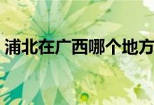 浦北在廣西哪個地方（浦北在廣西哪個地方）