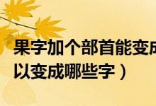 果字加個部首能變成什么（果加上偏旁部首可以變成哪些字）