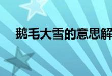 鵝毛大雪的意思解釋?zhuān)Z毛大雪啥意思）