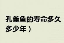 孔雀魚的壽命多久(孔雀魚的壽命最長的能活多少年)