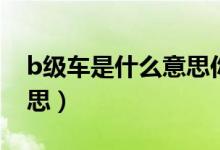 b級車是什么意思你知道嗎（b級車是什么意思）