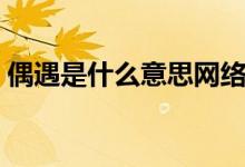 偶遇是什么意思網(wǎng)絡用語(偶遇是什么意思)