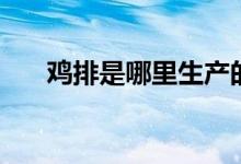 雞排是哪里生產(chǎn)的（雞排是哪個部位）