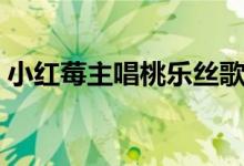小紅莓主唱桃樂絲歌單（小紅莓主唱怎么了）