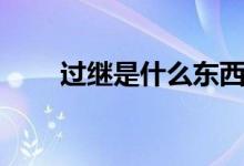 過繼是什么東西(過繼是什么意思)