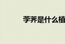 茡薺是什么植物（茡薺是什么）