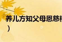 養(yǎng)兒方知父母恩慈禧(養(yǎng)兒方知父母恩下一句)