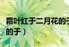 霜葉紅于二月花的于的意思（霜葉紅于二月花的于）