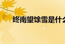 終南望馀雪是什么意思(終南望馀雪)