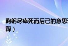 鞠躬盡瘁死而后已的意思理解（鞠躬盡瘁死而后已的意思解釋）