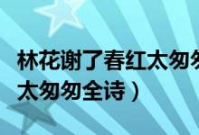 林花謝了春紅太匆匆全詩賞析（林花謝了春紅太匆匆全詩）