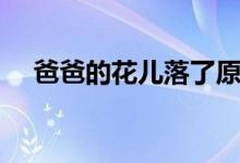 爸爸的花兒落了原文（爸爸的花兒落了）
