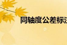 同軸度公差標(biāo)注示意圖（同軸度）