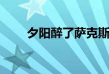 夕陽醉了薩克斯獨奏（夕陽打一字）