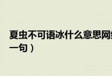 夏蟲不可語冰什么意思網絡用語（夏蟲不可語冰什么意思下一句）