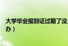 大學畢業(yè)報到證過期了沒上交（大學畢業(yè)報到證過期了怎么辦）