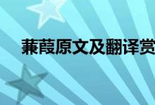 蒹葭原文及翻譯賞析（蒹葭原文及翻譯）