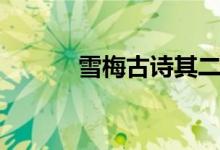 雪梅古詩(shī)其二（雪梅古詩(shī)其二）