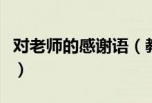對老師的感謝語（教師節(jié)祝福老師的簡短句子）