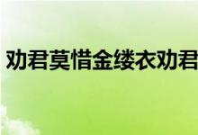 勸君莫惜金縷衣勸君惜取少年時(shí)（勸君莫惜）