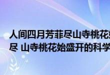 人間四月芳菲盡山寺桃花始盛開(kāi)的科學(xué)解釋（人間四月芳菲盡 山寺桃花始盛開(kāi)的科學(xué)解釋）