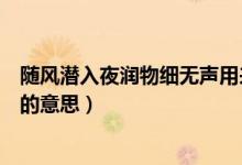 隨風(fēng)潛入夜?jié)櫸锛?xì)無(wú)聲用來(lái)形容啥（隨風(fēng)潛入夜?jié)櫸锛?xì)無(wú)聲的意思）