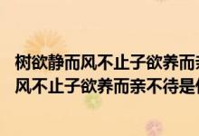 樹欲靜而風(fēng)不止子欲養(yǎng)而親不待是什么意思20字（樹欲靜而風(fēng)不止子欲養(yǎng)而親不待是什么意思）