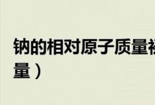 鈉的相對原子質(zhì)量初中化學(xué)（鈉的相對原子質(zhì)量）