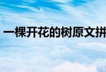 一棵開(kāi)花的樹(shù)原文拼音（一棵開(kāi)花的樹(shù)原文）