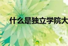 什么是獨立學院大學（什么是獨立學院）