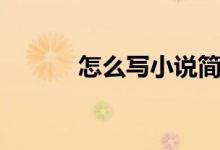 怎么寫小說(shuō)簡(jiǎn)介（怎么寫小說(shuō)）