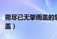 荷盡已無(wú)擎雨蓋的擎什么意思（荷盡已無(wú)擎雨蓋）